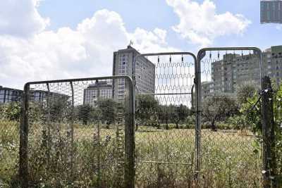 Orti all'ombra dei grattacieli: Poggiofranco, dove cemento e verde convivono in sintonia